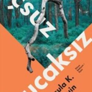 Uçsuz Bucaksız - Görsel 2